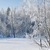 Image-square_50