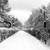 Image-square_50