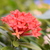 Image-square_50