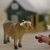Image-square_50