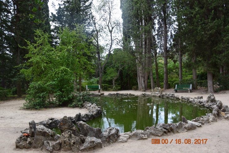 Image-normal