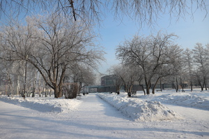 Image-preview_300x200