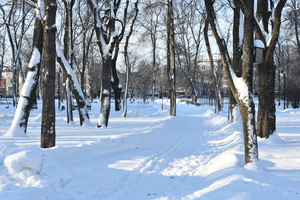 Image-preview_300x200