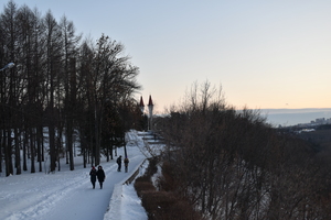 Image-preview_300x200