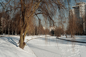 Image-preview_300x200