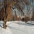 Image-square_50