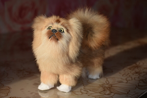 Image-preview_300x200