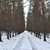 Image-square_50