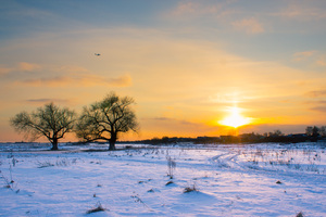 Image-preview_300x200