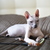 Image-square_50