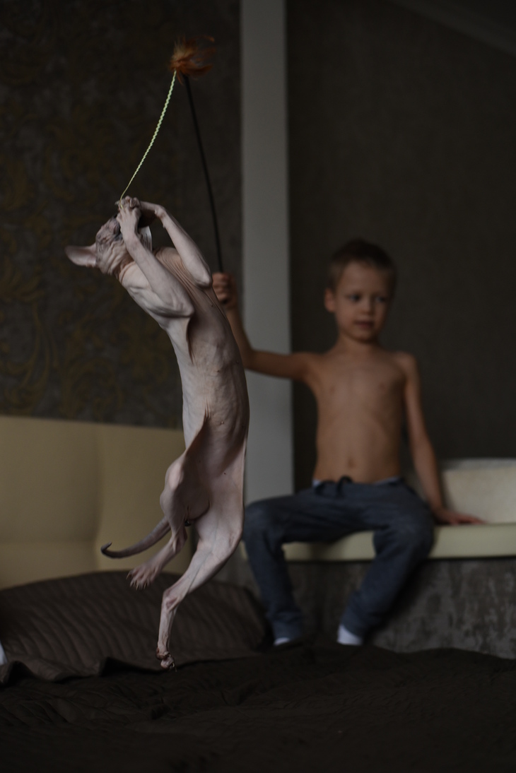 Image-normal