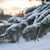Image-square_50