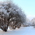Image-square_50