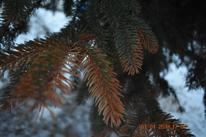 Image-preview_300x200
