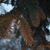 Image-square_50