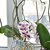 Image-square_50