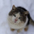 Image-square_50