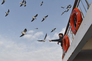 Image-preview_300x200
