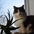 Image-square_50