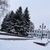 Image-square_50