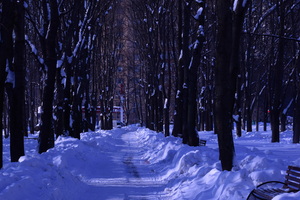 Image-preview_300x200