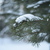 Image-square_50