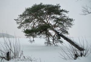 Image-preview_300x200