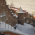 Image-square_50