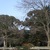Image-square_50