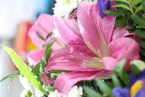 Image-preview_300x200