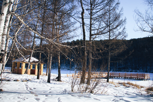 Image-preview_300x200