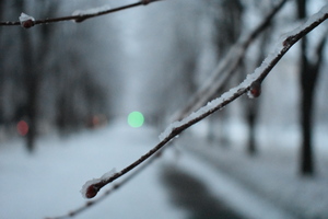 Image-preview_300x200