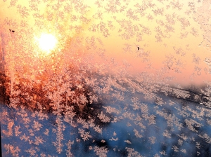Image-preview_300x200