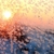Image-square_50