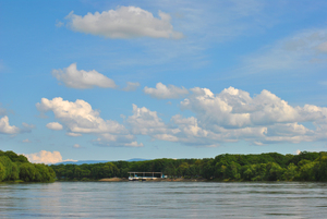 Image-preview_300x200