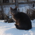 Image-square_50