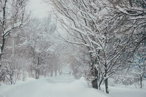 Image-preview_300x200