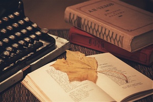 Image-preview_300x200
