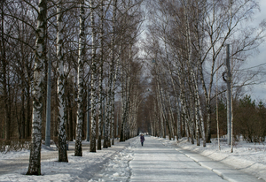 Image-preview_300x200