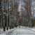 Image-square_50