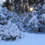 Image-square_50