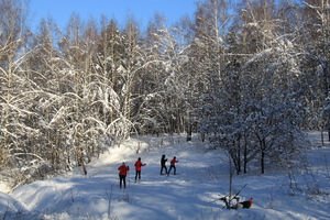 Image-preview_300x200