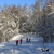 Image-square_50