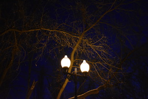 Image-preview_300x200