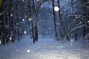 Image-preview_300x200