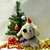 Image-square_50