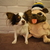 Image-square_50