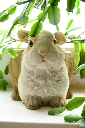 Image-preview_300x200