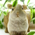 Image-square_50