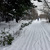 Image-square_50